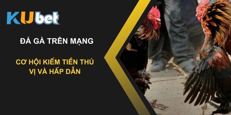 Đặt cược đá gà trên mạng tại Kubet: Cơ hội kiếm tiền thú vị và hấp dẫn