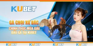 Gà Chọi Xứ Bắc